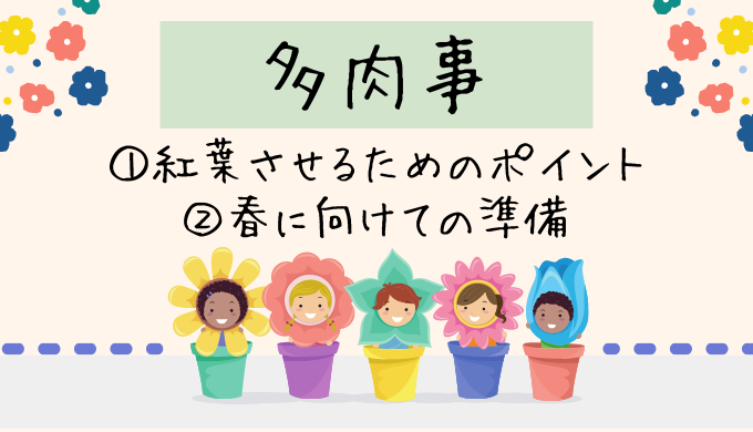 多肉事①紅葉させるためのポイント②春に向けての準備