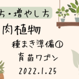 多肉植物 種まき準備① 育苗ワゴン