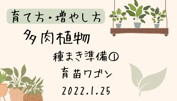 多肉植物 種まき準備① 育苗ワゴン