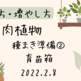 【多肉植物】種まき準備② 育苗箱 2022.2.8