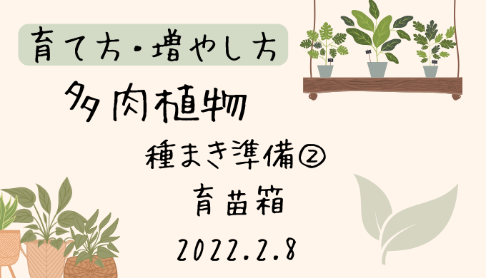 多肉植物 種まき準備② 育苗箱